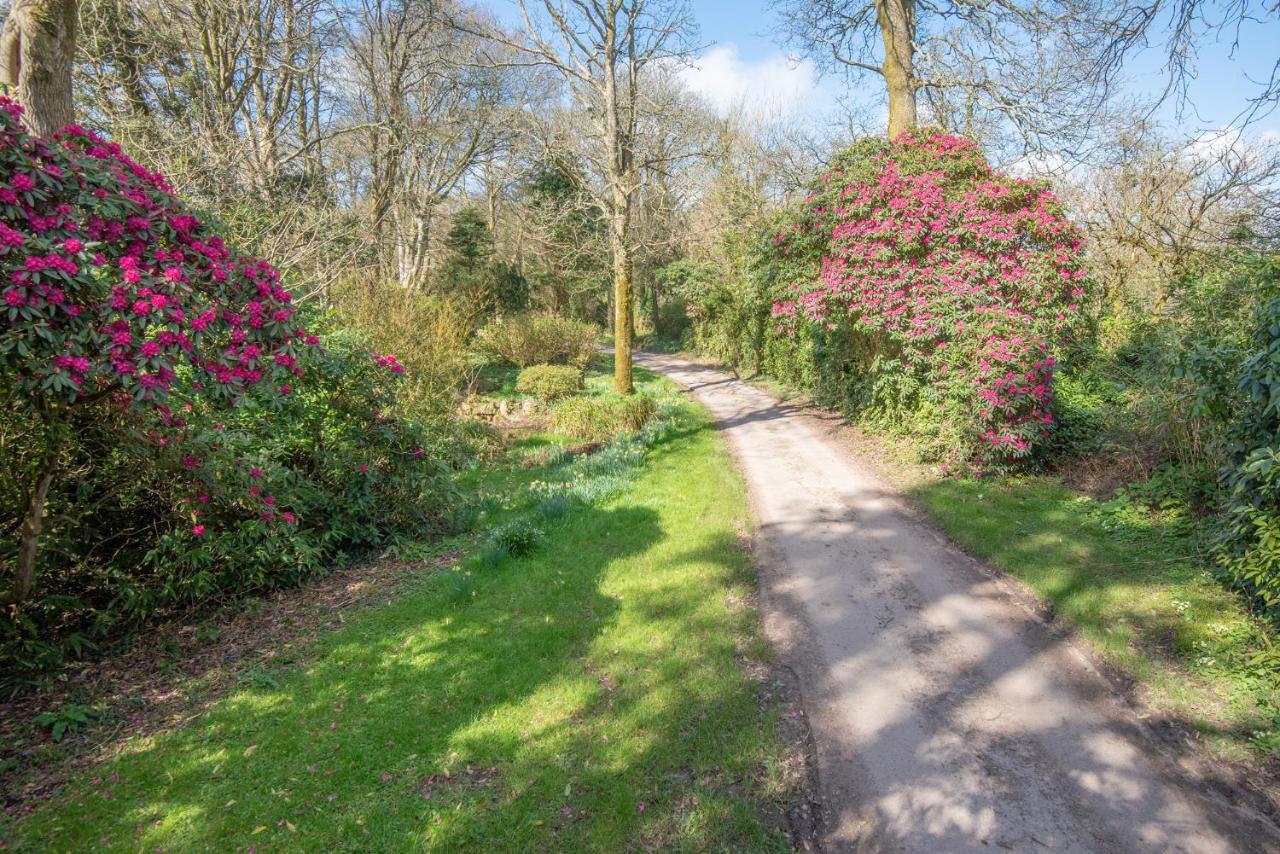 Doolans Villa Falmouth Luaran gambar